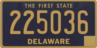 DE license plate 225036