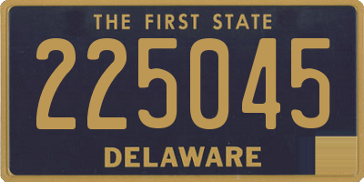 DE license plate 225045