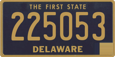 DE license plate 225053