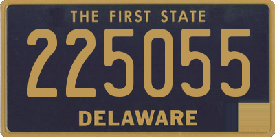 DE license plate 225055