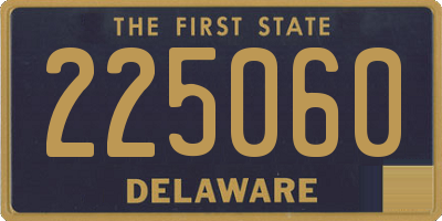 DE license plate 225060