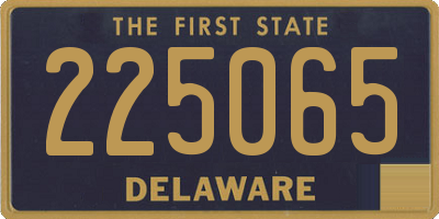 DE license plate 225065