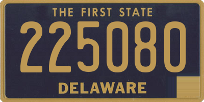 DE license plate 225080