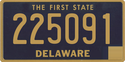 DE license plate 225091