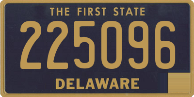 DE license plate 225096