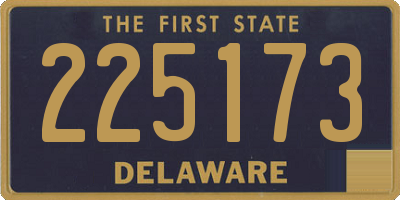 DE license plate 225173