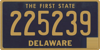 DE license plate 225239