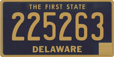 DE license plate 225263