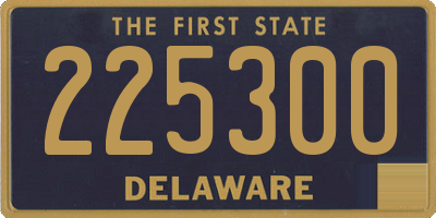 DE license plate 225300