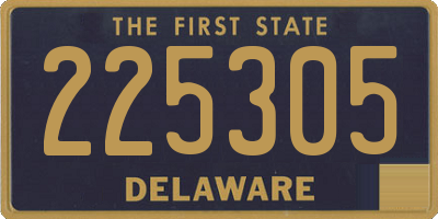 DE license plate 225305