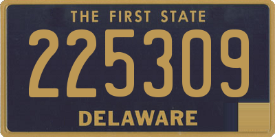 DE license plate 225309