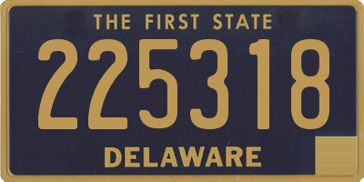 DE license plate 225318