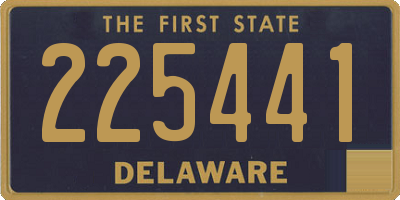 DE license plate 225441