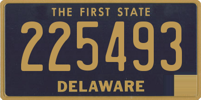 DE license plate 225493