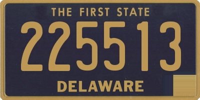 DE license plate 225513