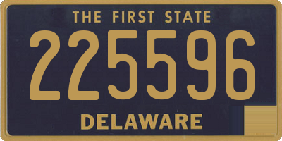 DE license plate 225596