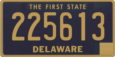 DE license plate 225613