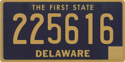 DE license plate 225616