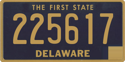 DE license plate 225617