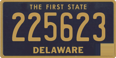 DE license plate 225623
