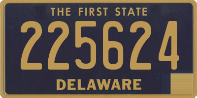 DE license plate 225624