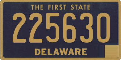 DE license plate 225630