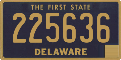 DE license plate 225636