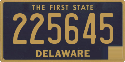 DE license plate 225645