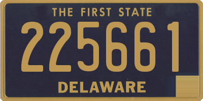 DE license plate 225661