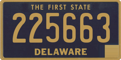 DE license plate 225663