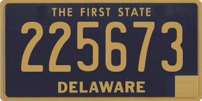 DE license plate 225673