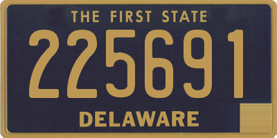 DE license plate 225691
