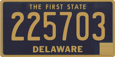 DE license plate 225703