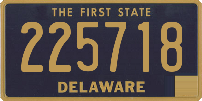 DE license plate 225718