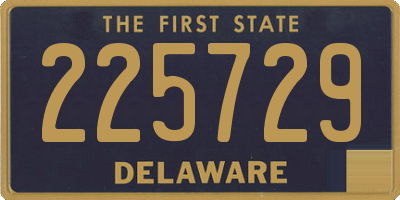 DE license plate 225729