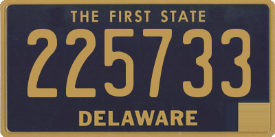 DE license plate 225733