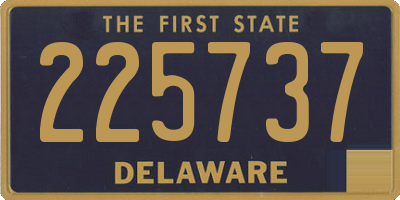 DE license plate 225737