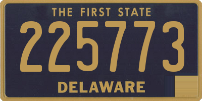 DE license plate 225773