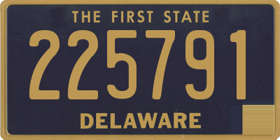 DE license plate 225791