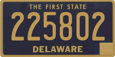 DE license plate 225802