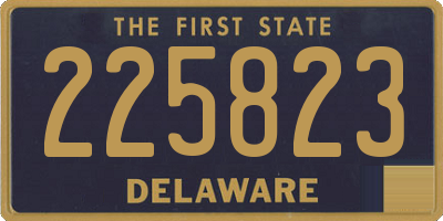 DE license plate 225823