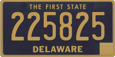 DE license plate 225825