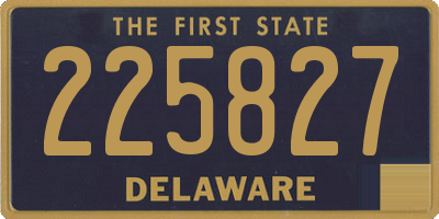 DE license plate 225827