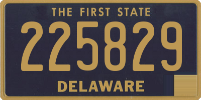 DE license plate 225829