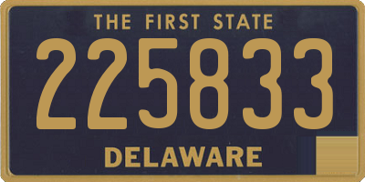 DE license plate 225833