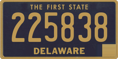 DE license plate 225838