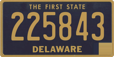 DE license plate 225843