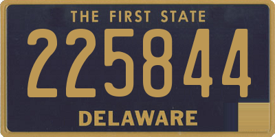 DE license plate 225844