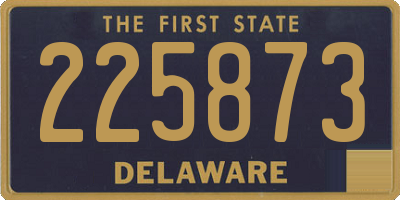 DE license plate 225873