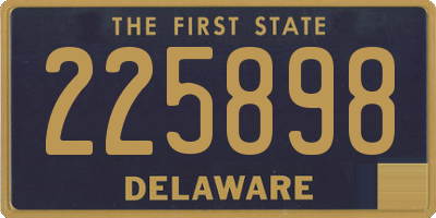 DE license plate 225898